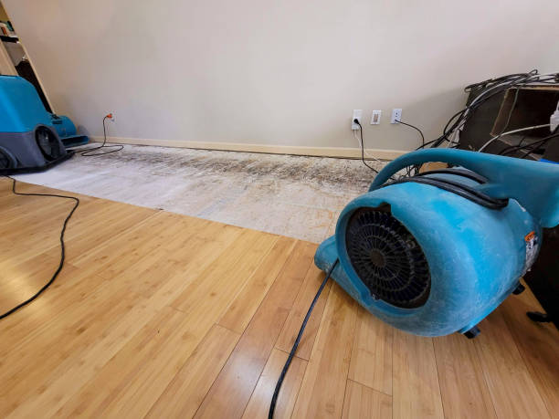 Professional Ceiling Water Damage Repair technician working in West Blocton, AL